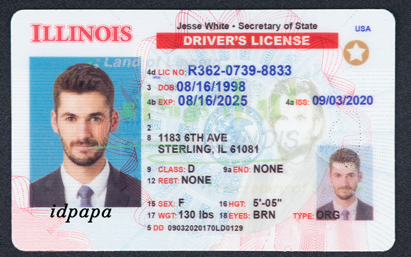 Indiana  driver's license with license number. Expires, Address,. Physical details, brown eyes